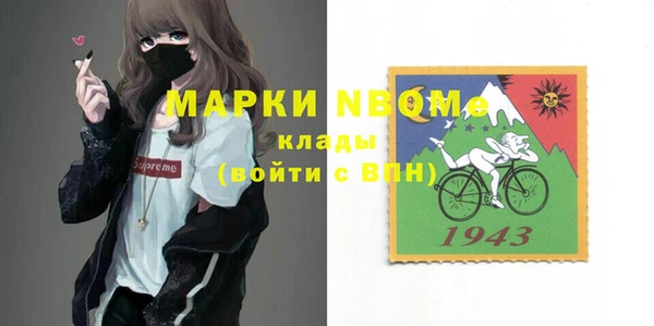 индика Медногорск
