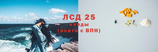 прущие грибы Алзамай