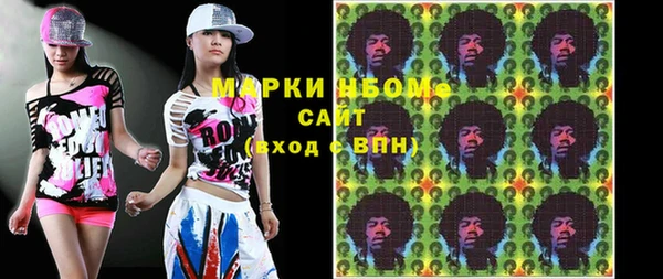 прущие грибы Алзамай