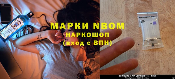 молекула духа Алексин