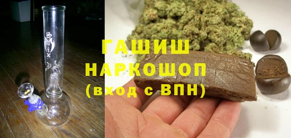 индика Медногорск