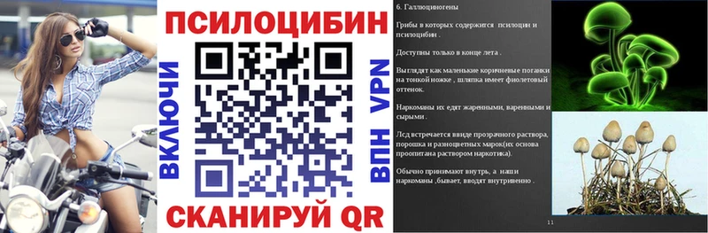 где купить наркотик  ссылка на мегу   Псилоцибиновые грибы GOLDEN TEACHER  Щёлкино 